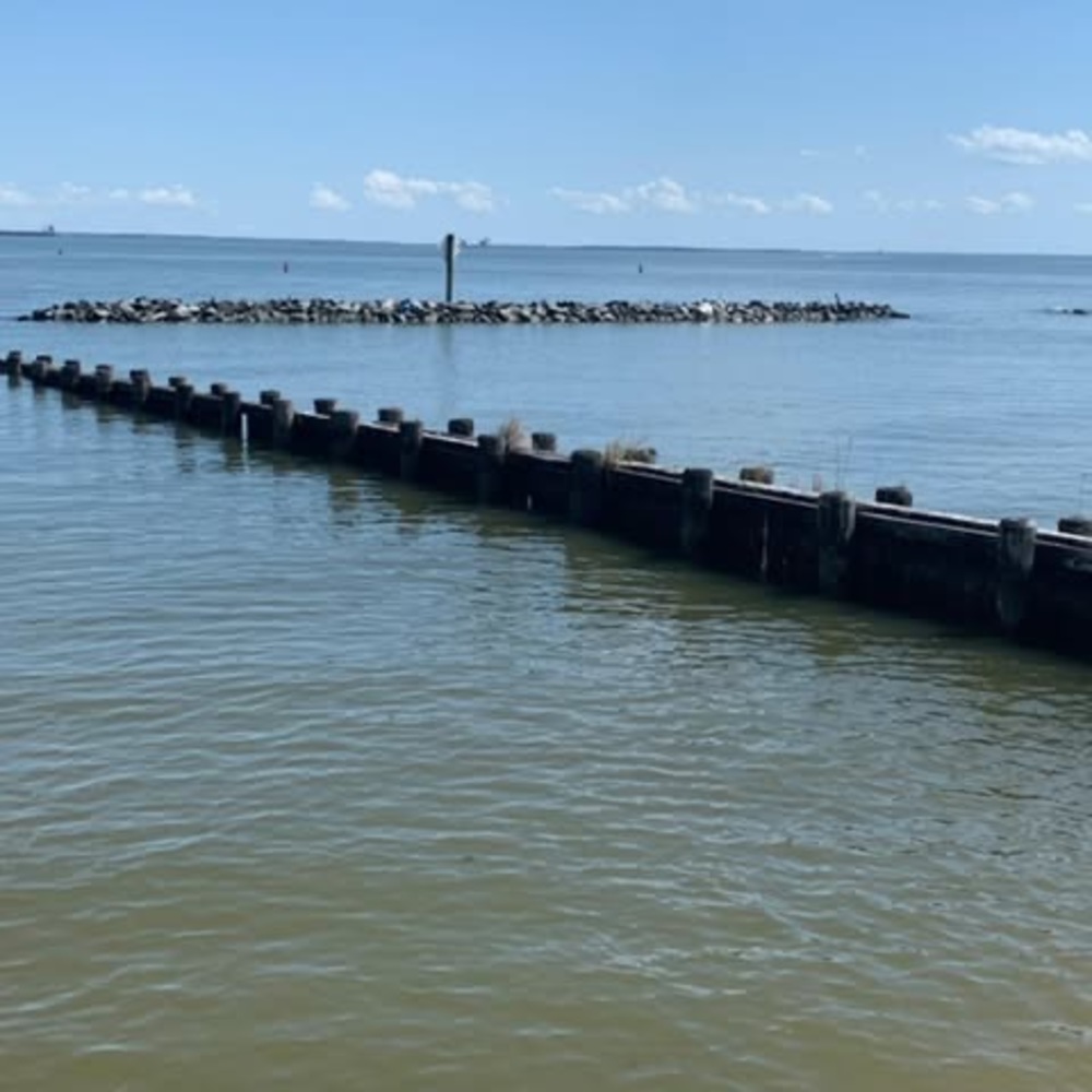 Meet your Posher, Rosa